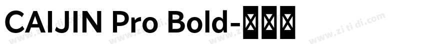 CAIJIN Pro Bold字体转换